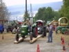 bild022 bild022