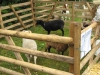 img_0018 img_0018