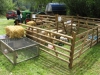 img_0086 img_0086