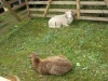 img_0094 img_0094