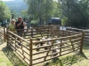 img_0015 img_0015