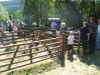 img_0070 img_0070