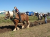 img_0159 img_0159
