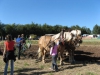 img_0222 img_0222