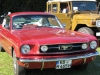 img_0242 img_0242