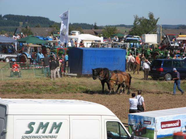 img_0266 img_0266